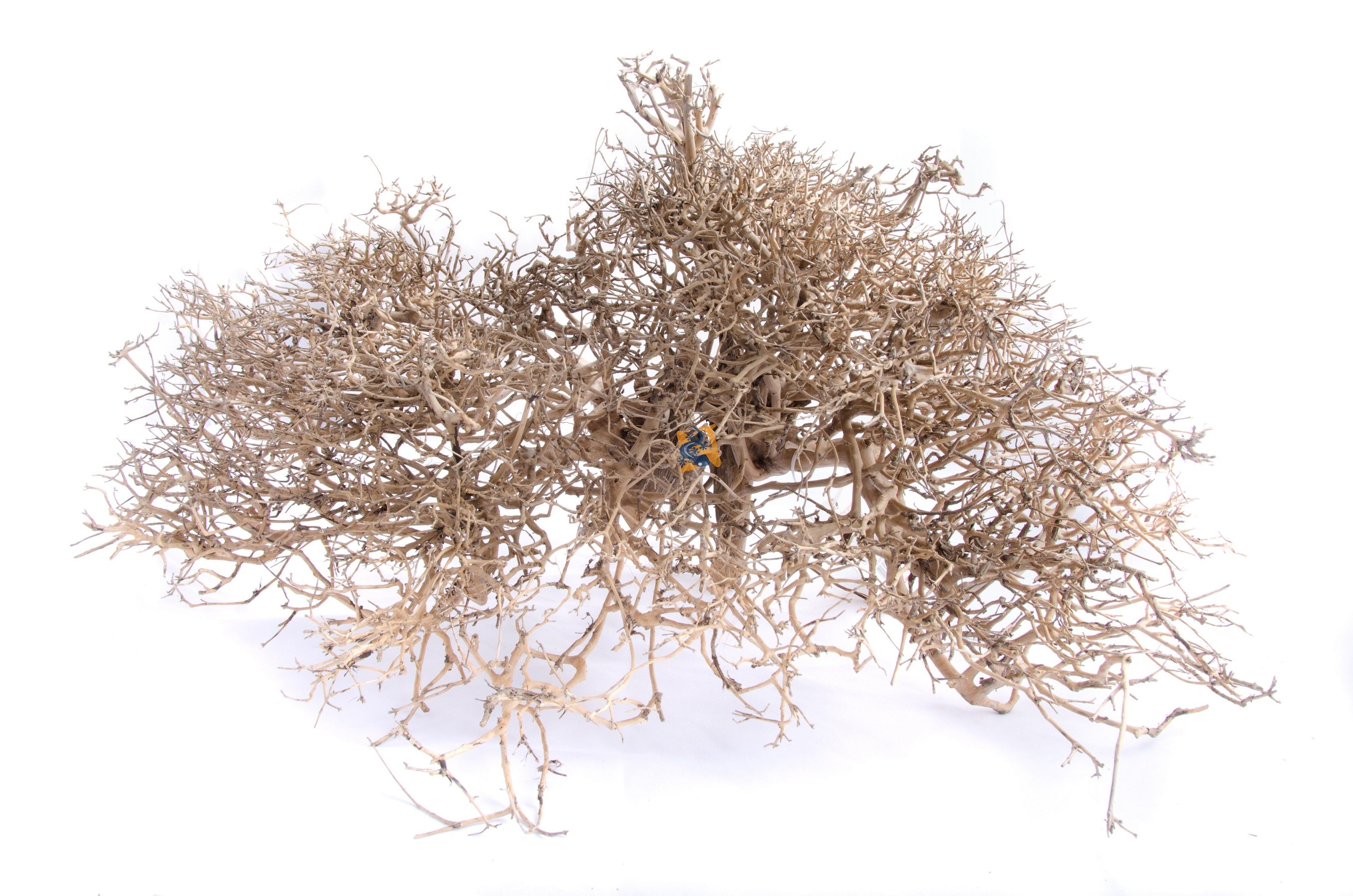 Aquaglobe Bois Caspien