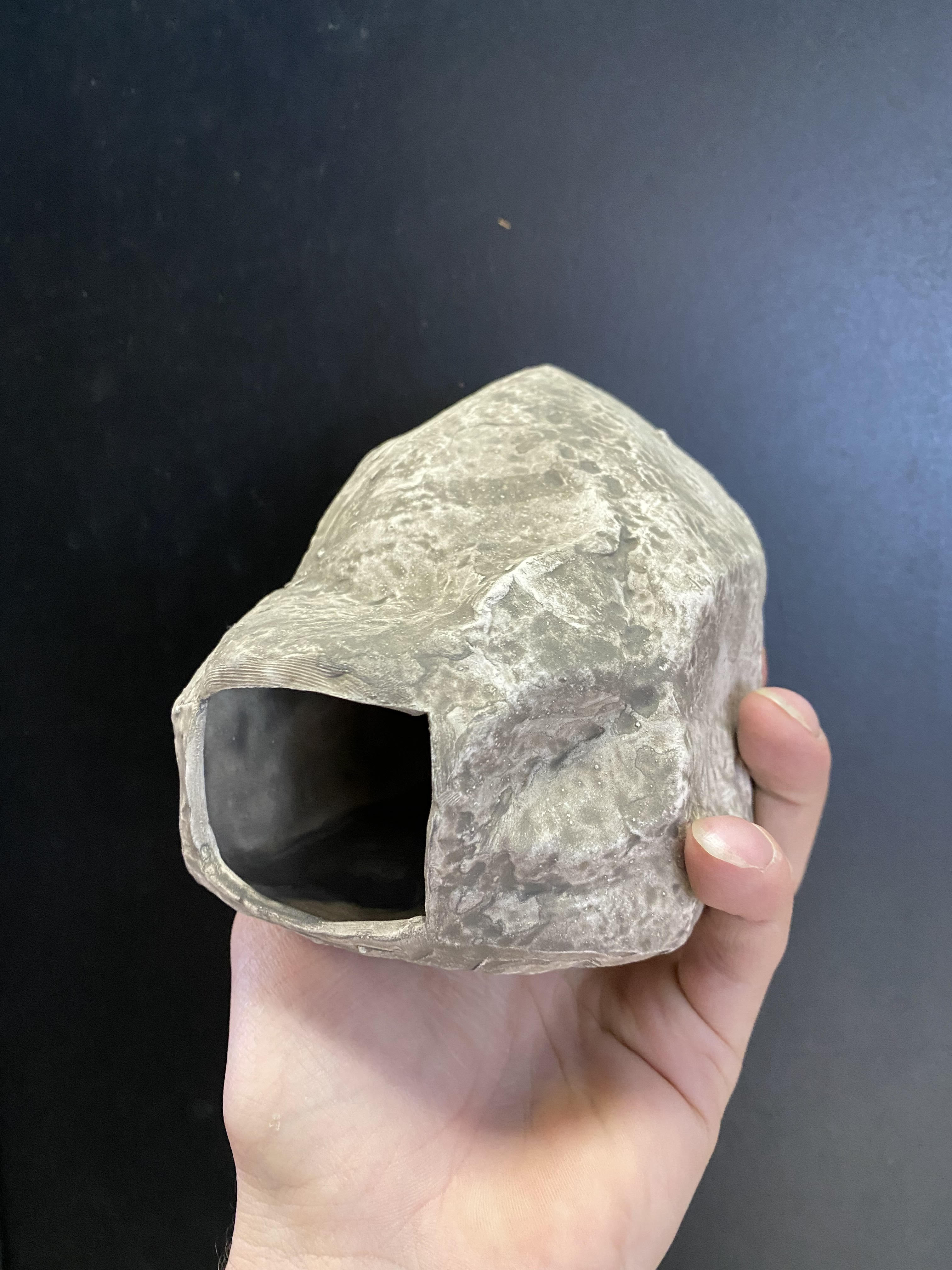 Grottes de pierre de cichlidés