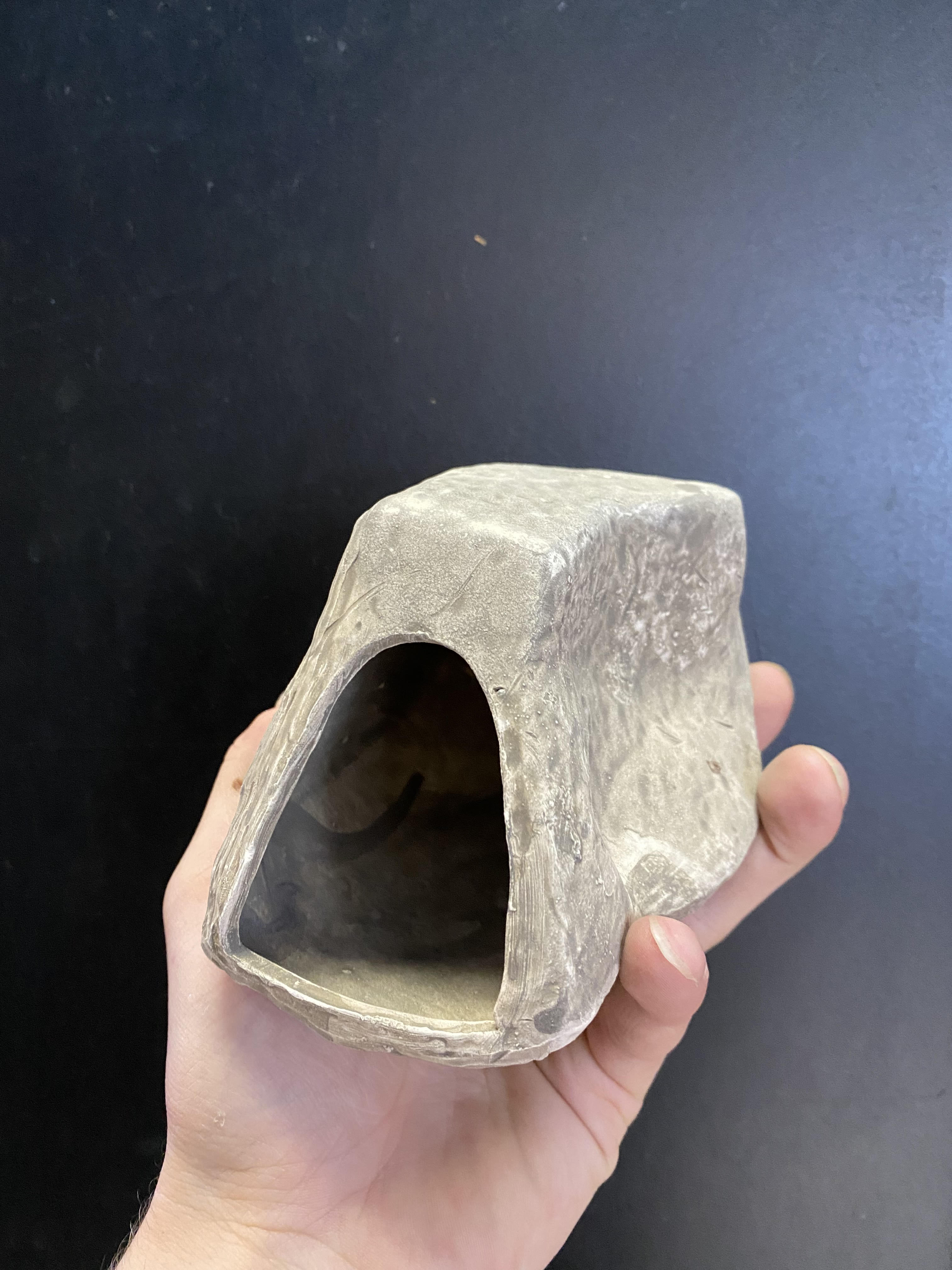 Grottes de pierre de cichlidés