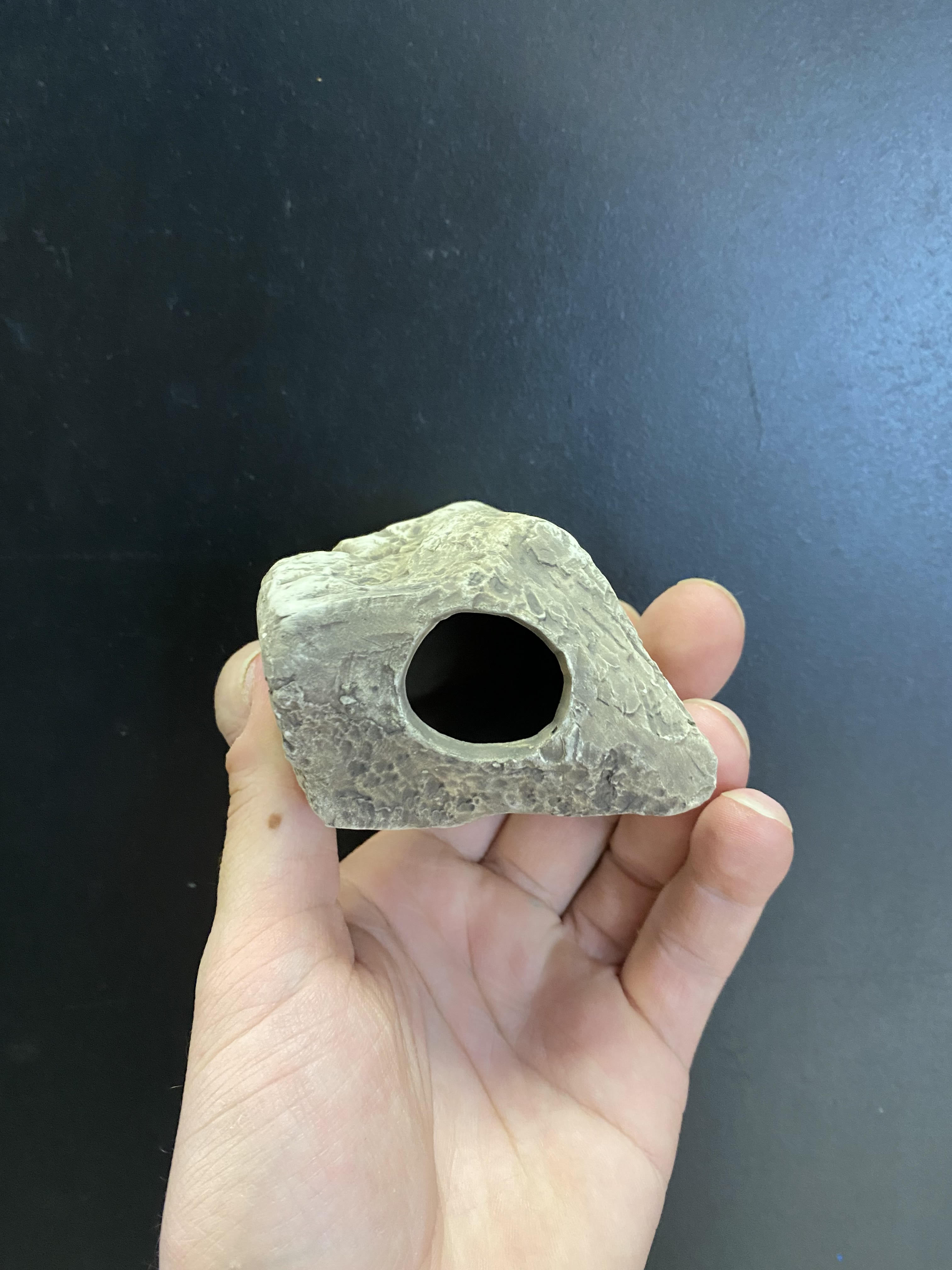 Grottes de pierre de cichlidés