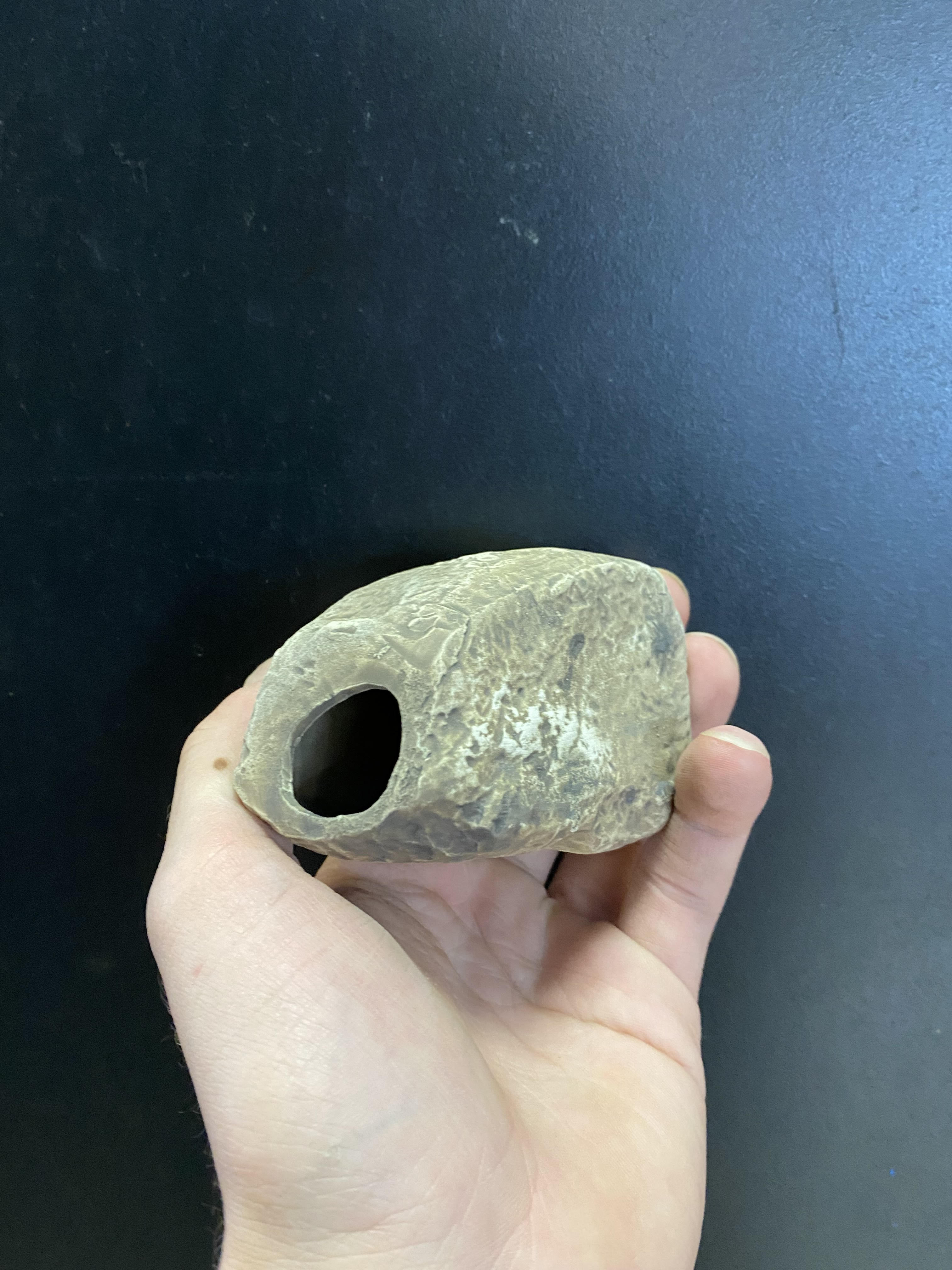 Grottes de pierre de cichlidés