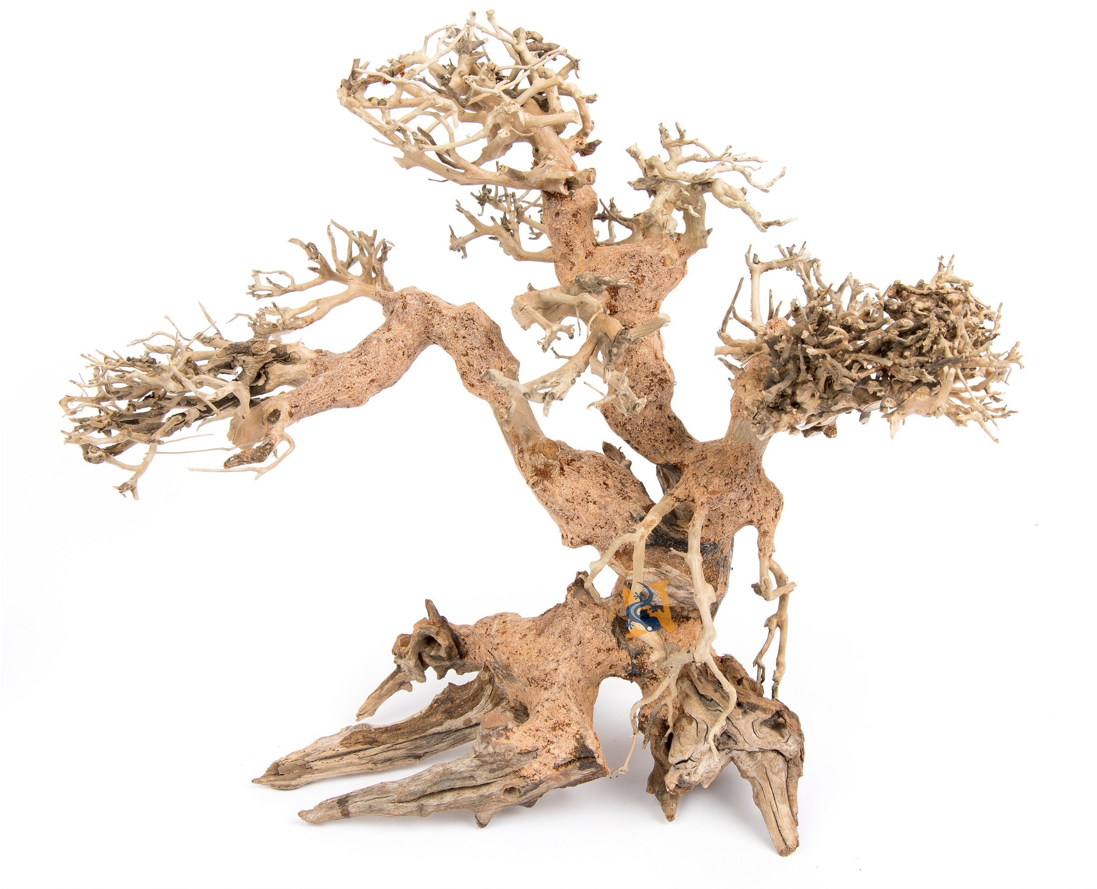 Aquaglobe Dragonwood