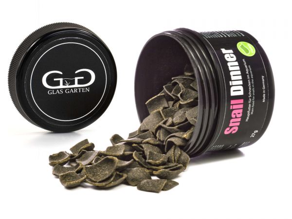 Dîner d'escargots GlasGarten