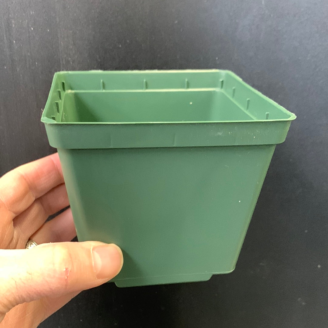 Pot carré Kord Lite 4"