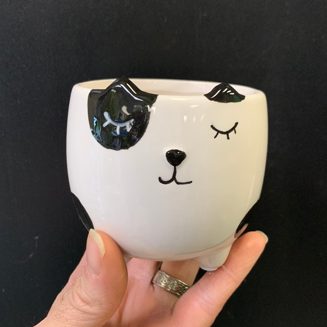 Pot d'animaux assortis