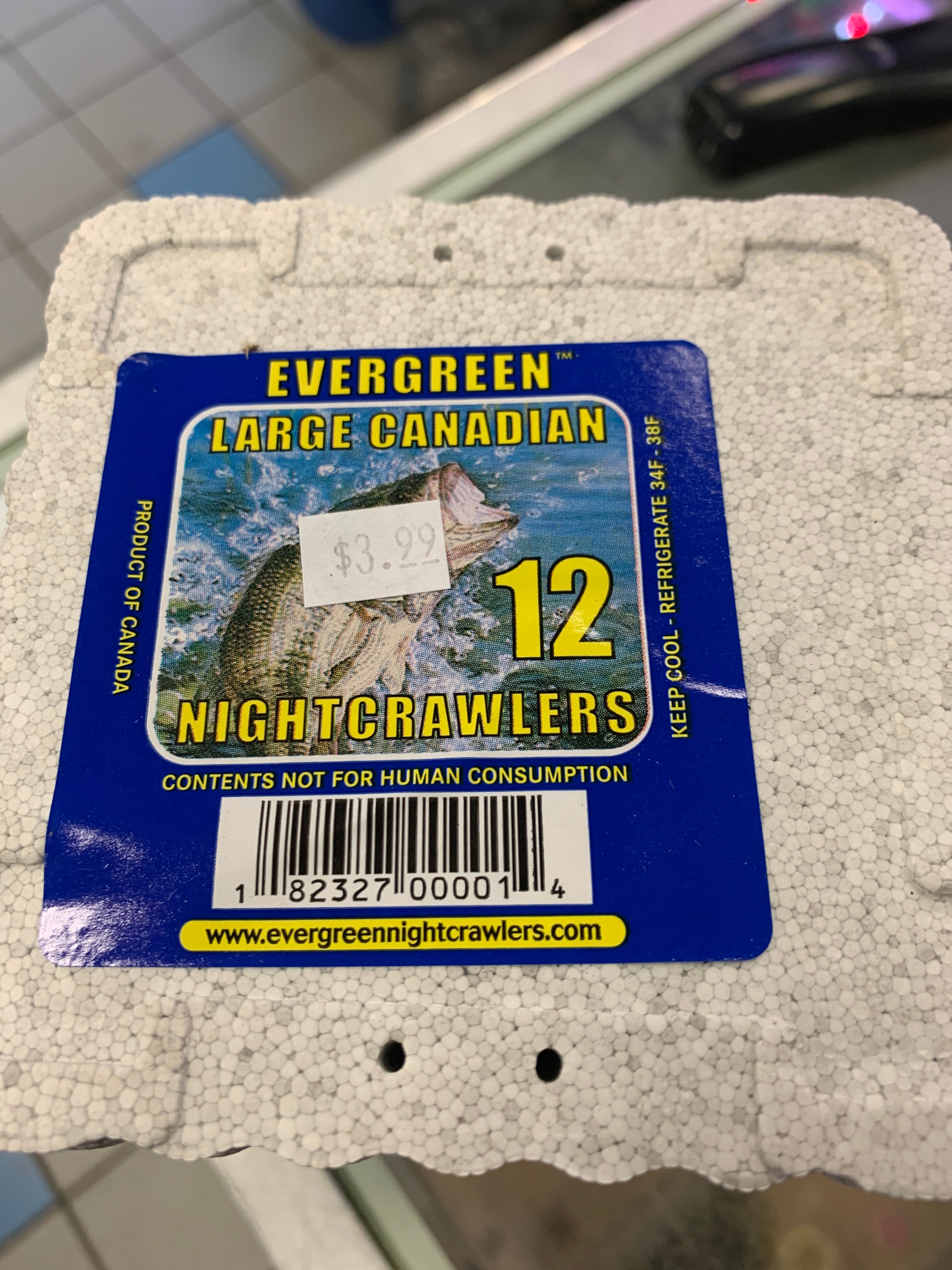 Evergreen Nightcrawlers/Earth Worms