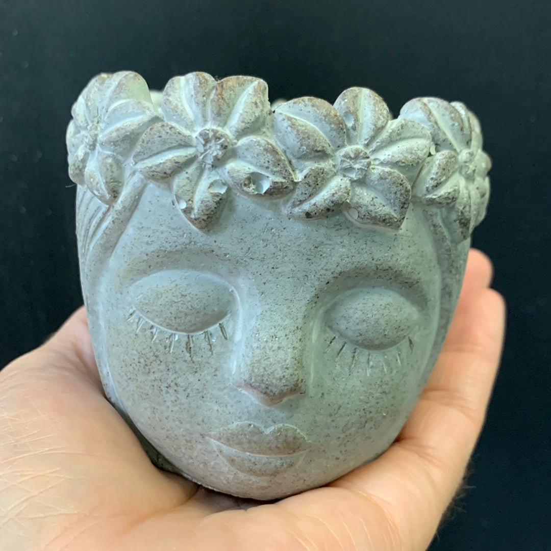 Pot Juliette Flower Queen