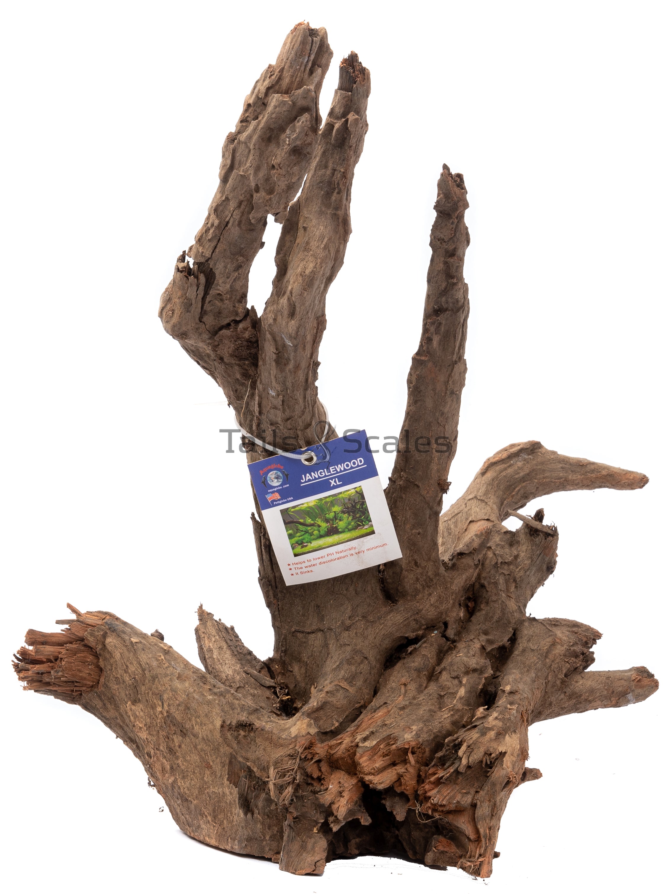 Aquaglobe Jangle Wood