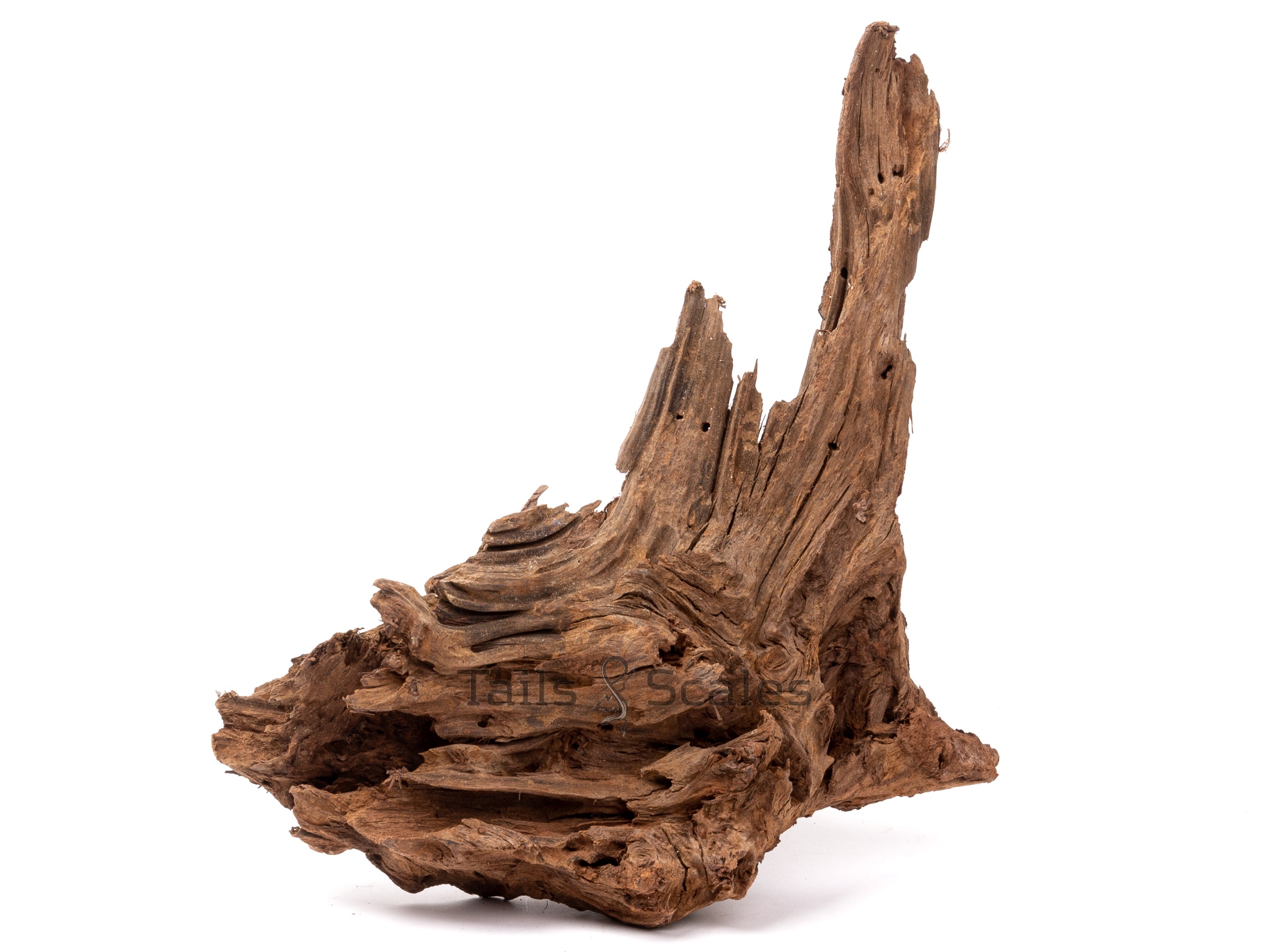 Aquaglobe Malaysian Driftwood