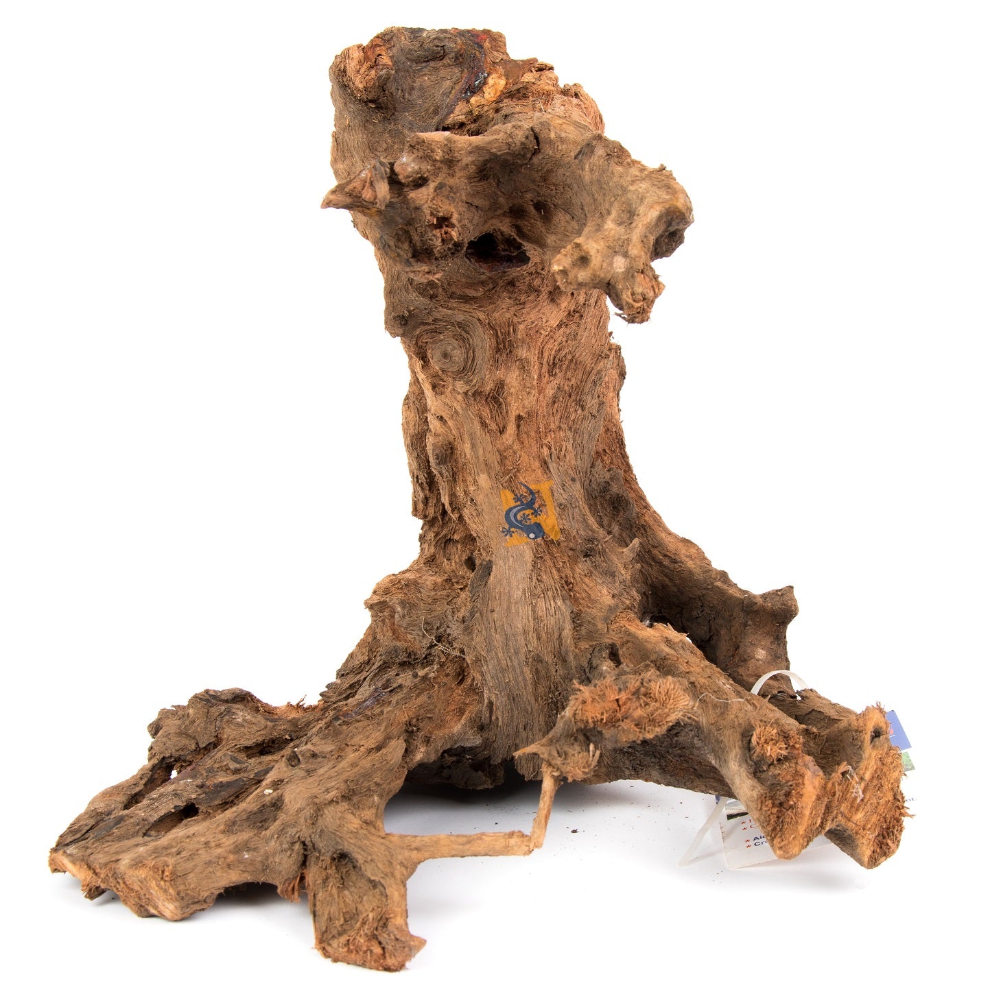 Bois de mangrove Aquaglobe