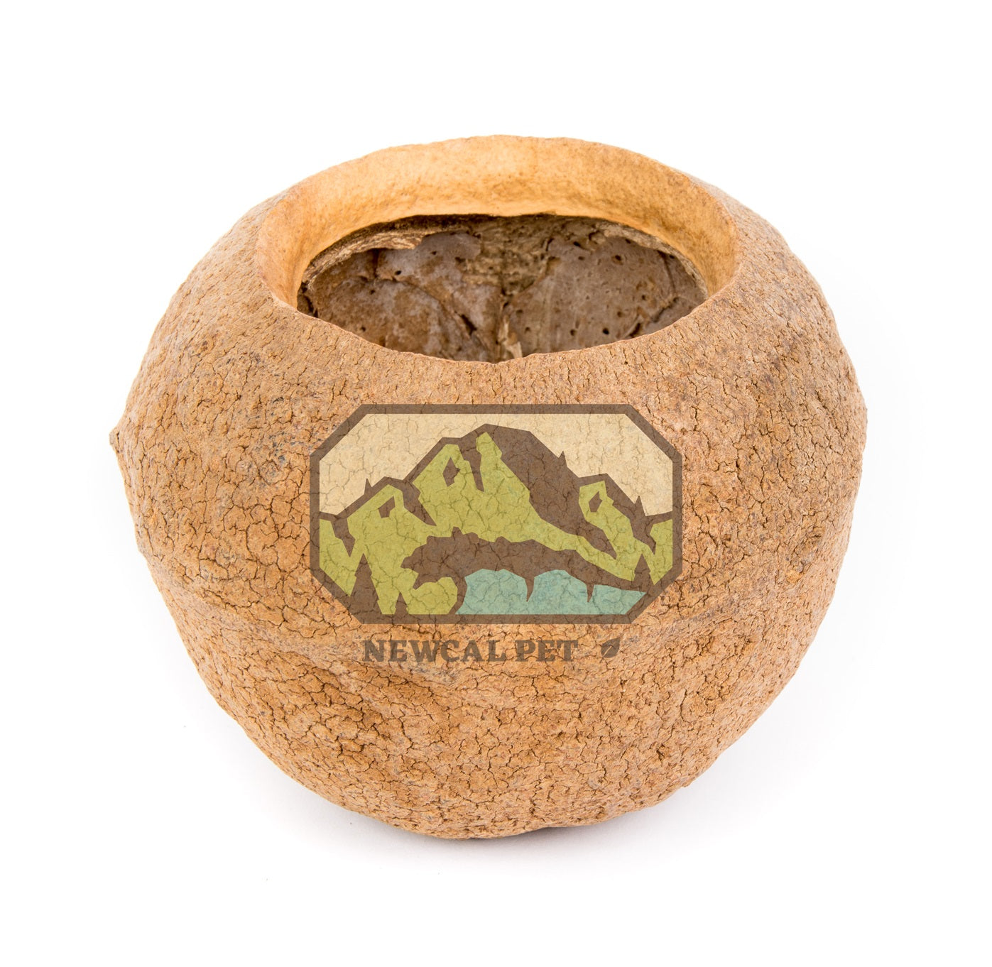 NewCal Sapucaia Pod (Monkey Pot) 5"