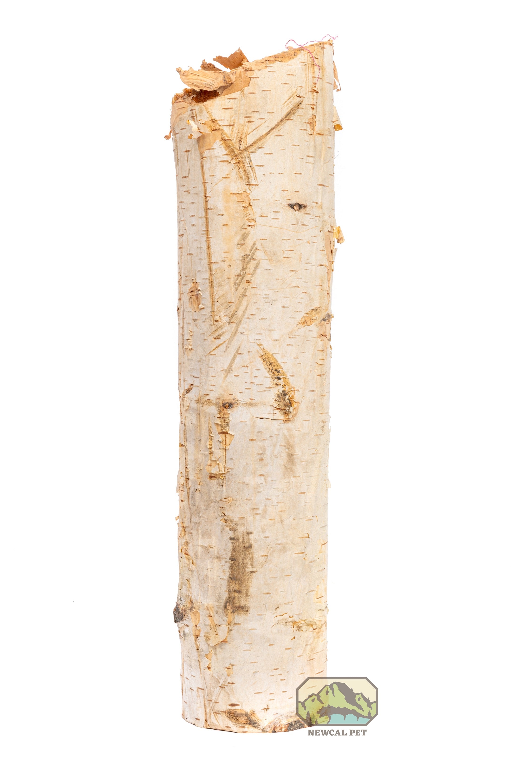 NewCal Birch Tree Branch (1.5"-3" Dia)