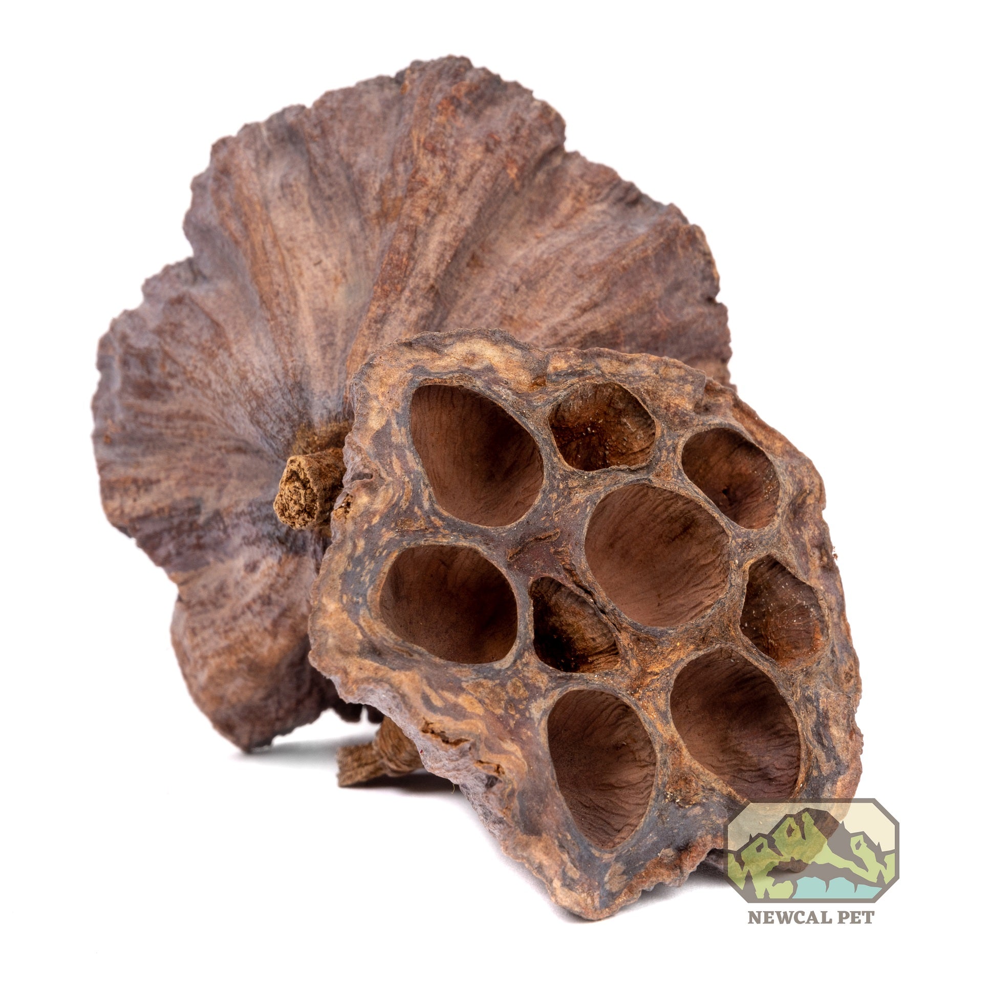 NewCal Lotus Pods 4"