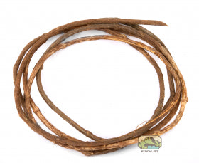 NewCal Liana Corkscrew Vine (Rosca) - Thin