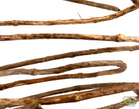 NewCal Liana Corkscrew Vine (Rosca) - Thin