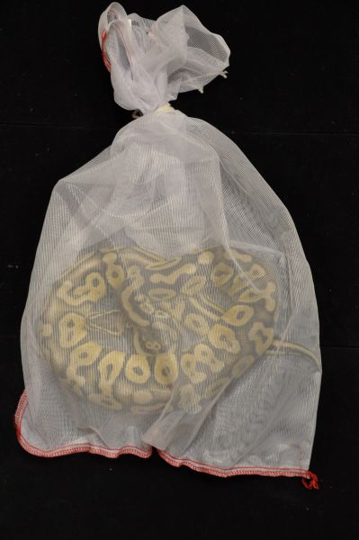 Sac serpent transparent en nylon