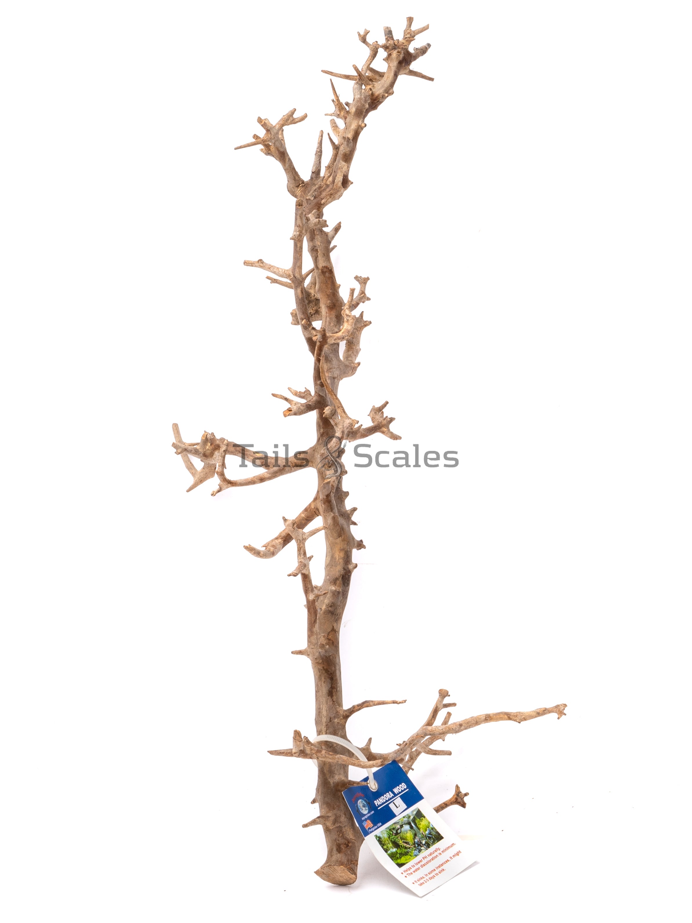 Aquaglobe Pandora Wood (Liquidation - Vente finale)