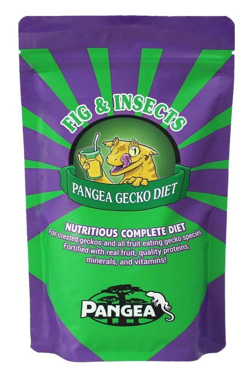 Pangea Fig and Insects