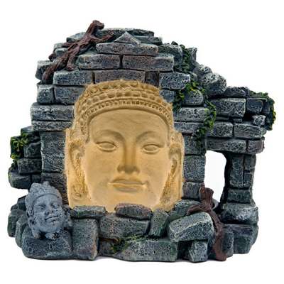 Grotte des grottes de Penn Plax Face