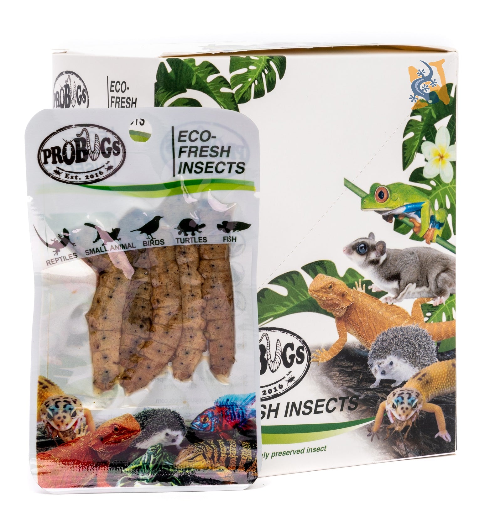 Pro Bugs Eco-Fresh Silkworms