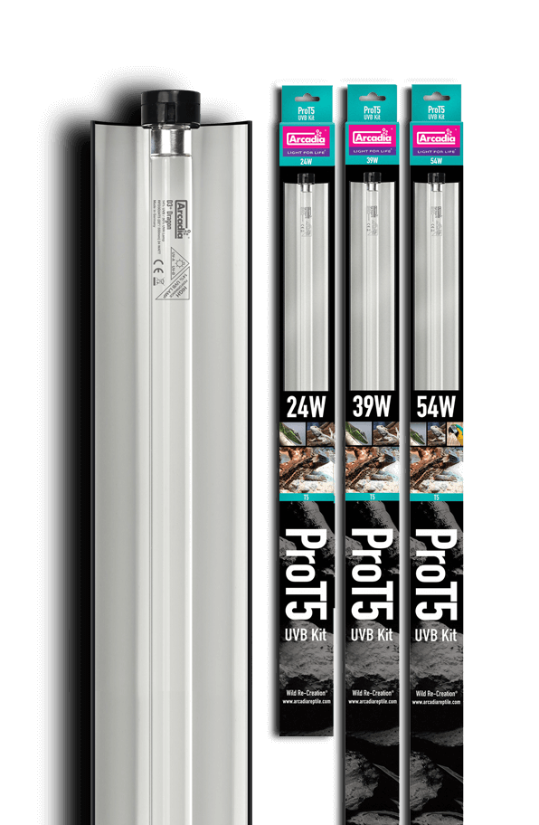 Kit Arcadia Pro T5 UVB