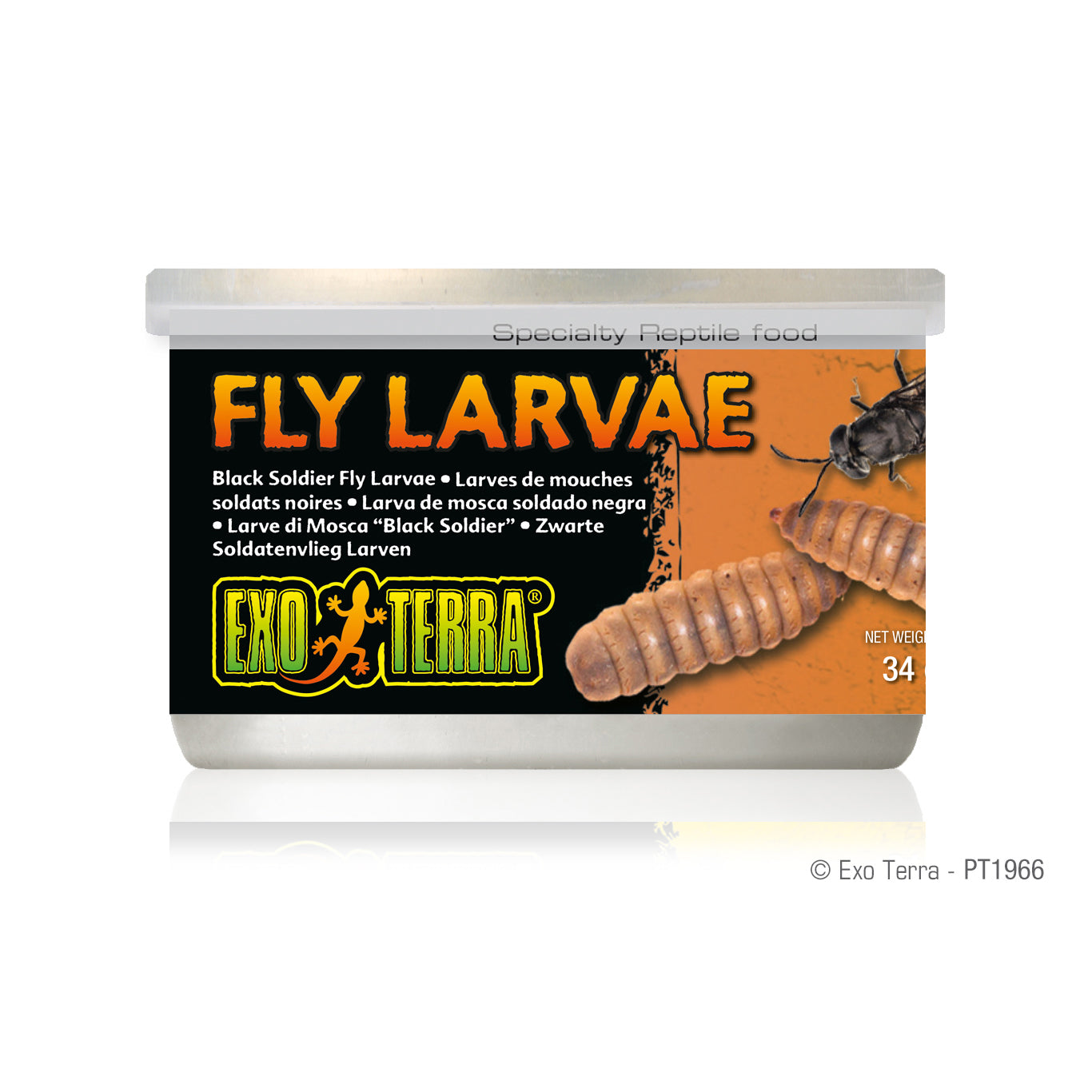 Larves de mouches Black Solider en conserve Exo Terra