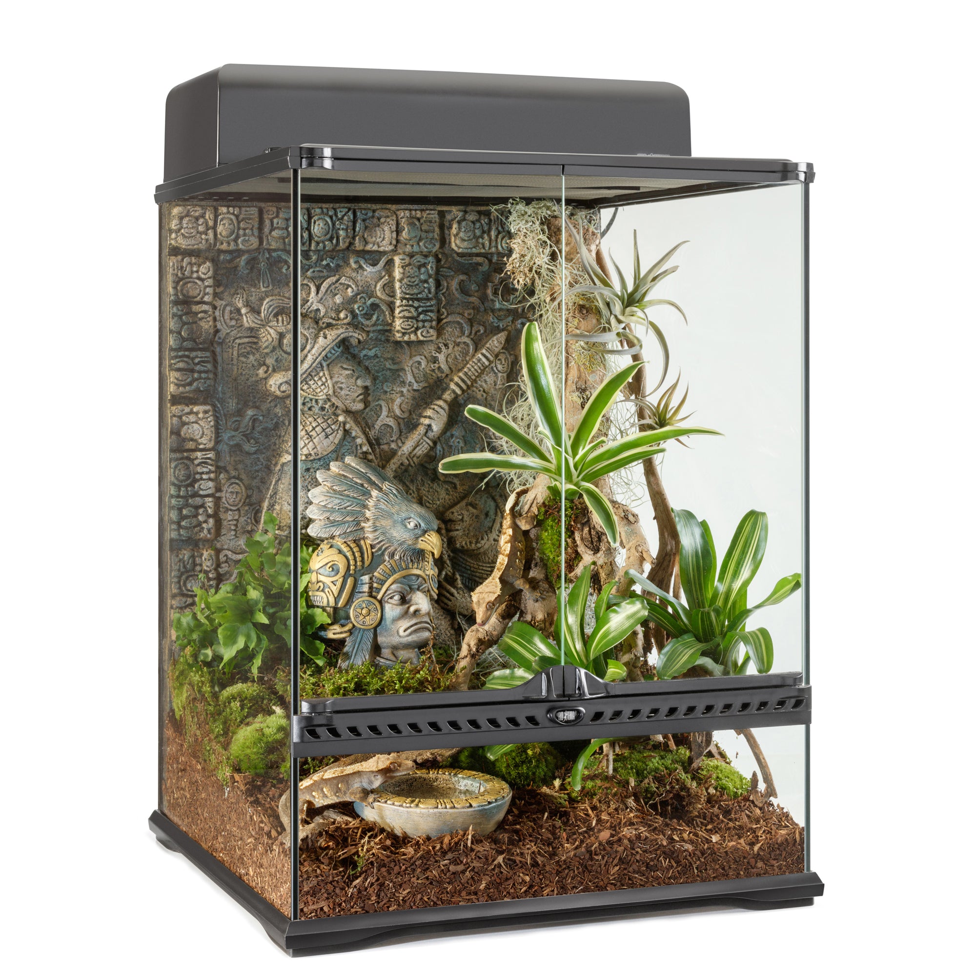 Exo terra 36 x 18 x 24 glass outlet terrarium