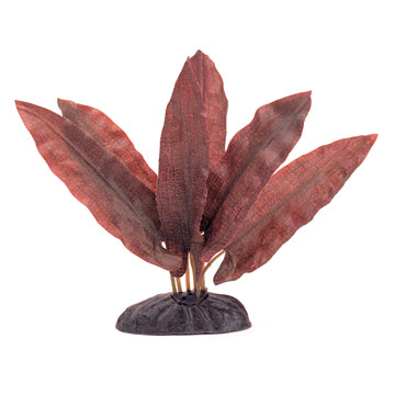 Marina EcoScaper Barclaya Longifolia