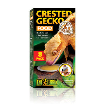 Gobelets de nourriture Exo Terra pour gecko à crête – paquet de 8 (commande spéciale uniquement)