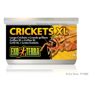 Canned crickets sale bearded dragon