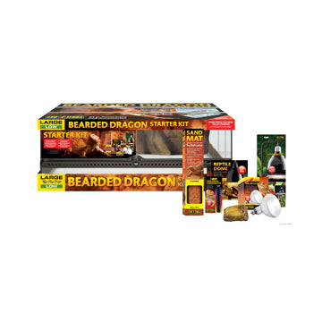Kit de démarrage Exo Terra pour dragon barbu
