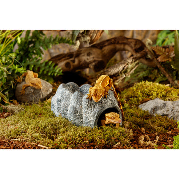 Grotte de roche humide Exo Terra