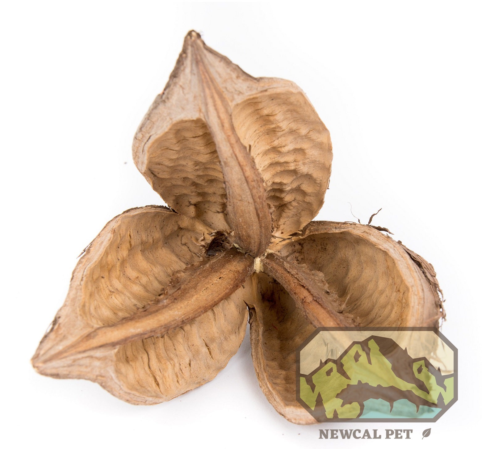 NewCal Sorocco Flower 4-5"