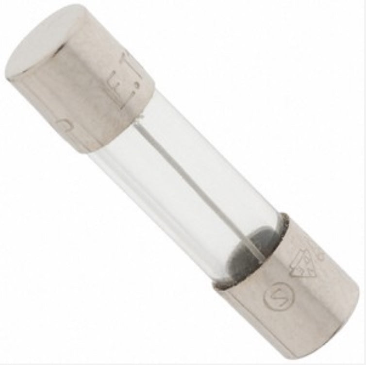 Fusible de rechange pour Vivarium Electronics (pack de 3)