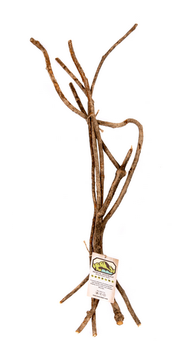 NewCal Vine Branches