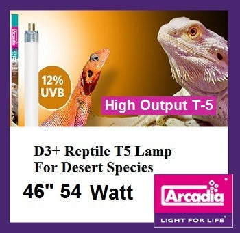Ampoule Arcadia T5 HO D3+ 12% UVB