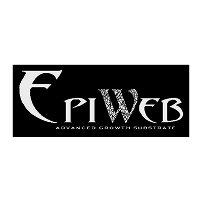 Epiweb