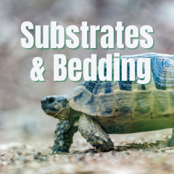 Substrate & Bedding