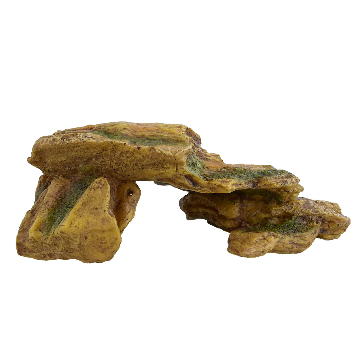 Underwater Treasures Rocky Hide