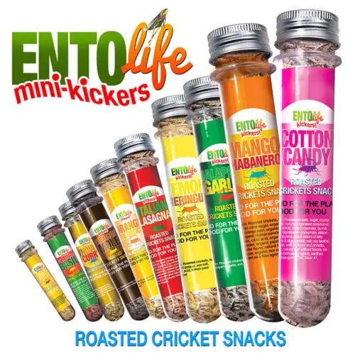 ENTOlife MINI-KICKERS | Flavored Whole Roasted Cricket Snacks - 10 Flavours!