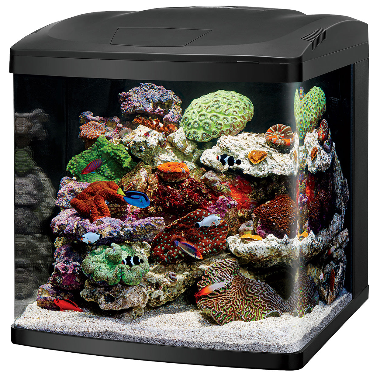 Biocube accessories sales