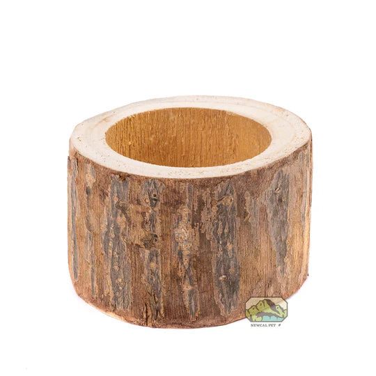 NewCal Paulownia Tree Pot