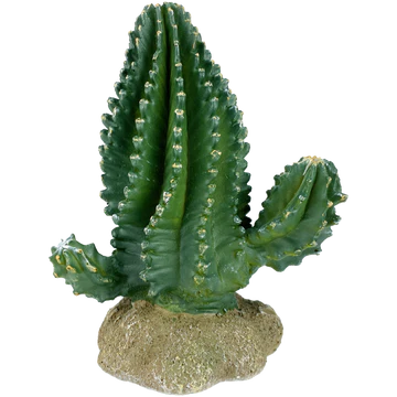 Komodo Columnar Cactus 5.9"