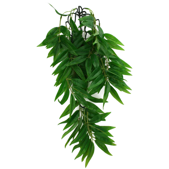 Komodo Bamboo Climbing Plant