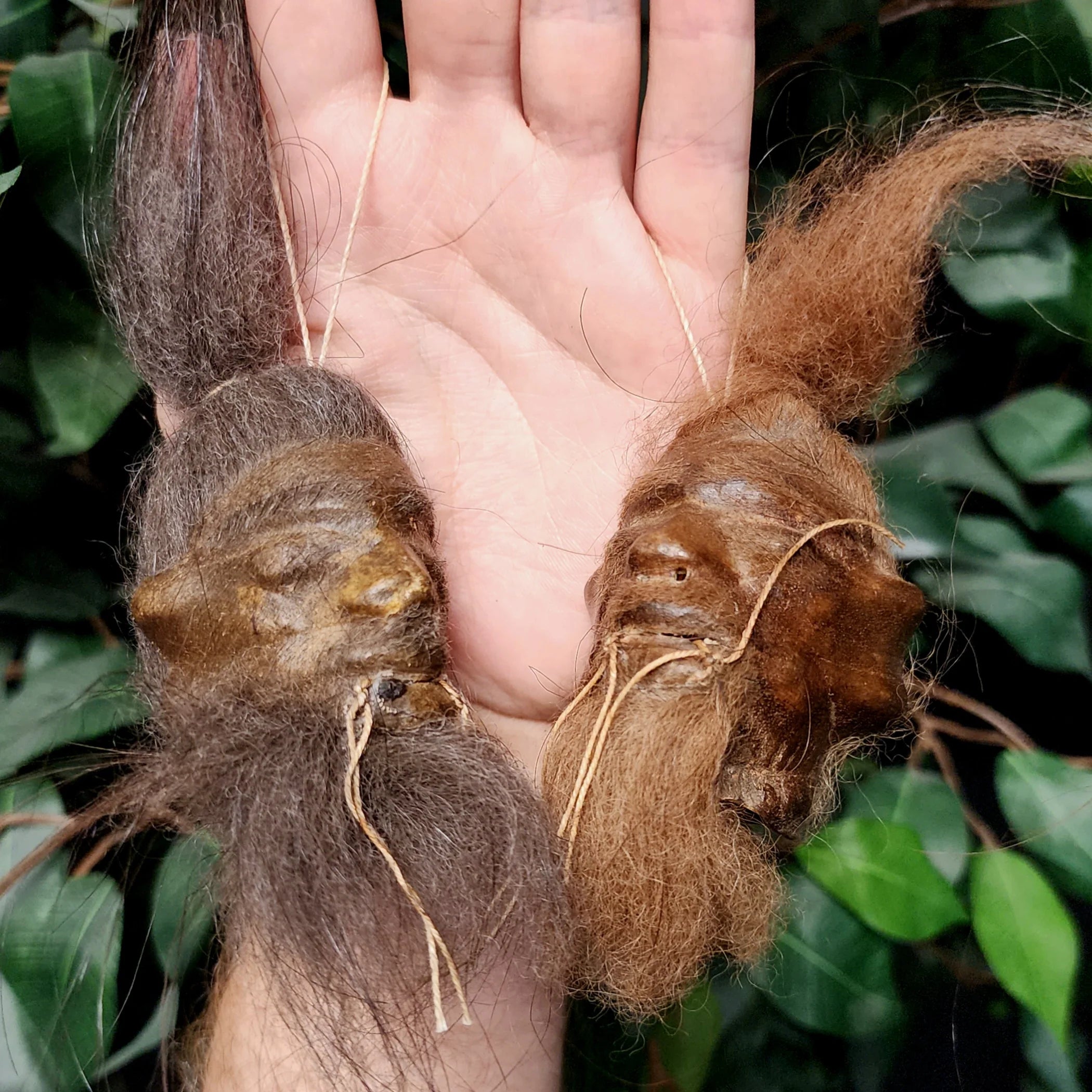 Shrunken Head - Goat Skin