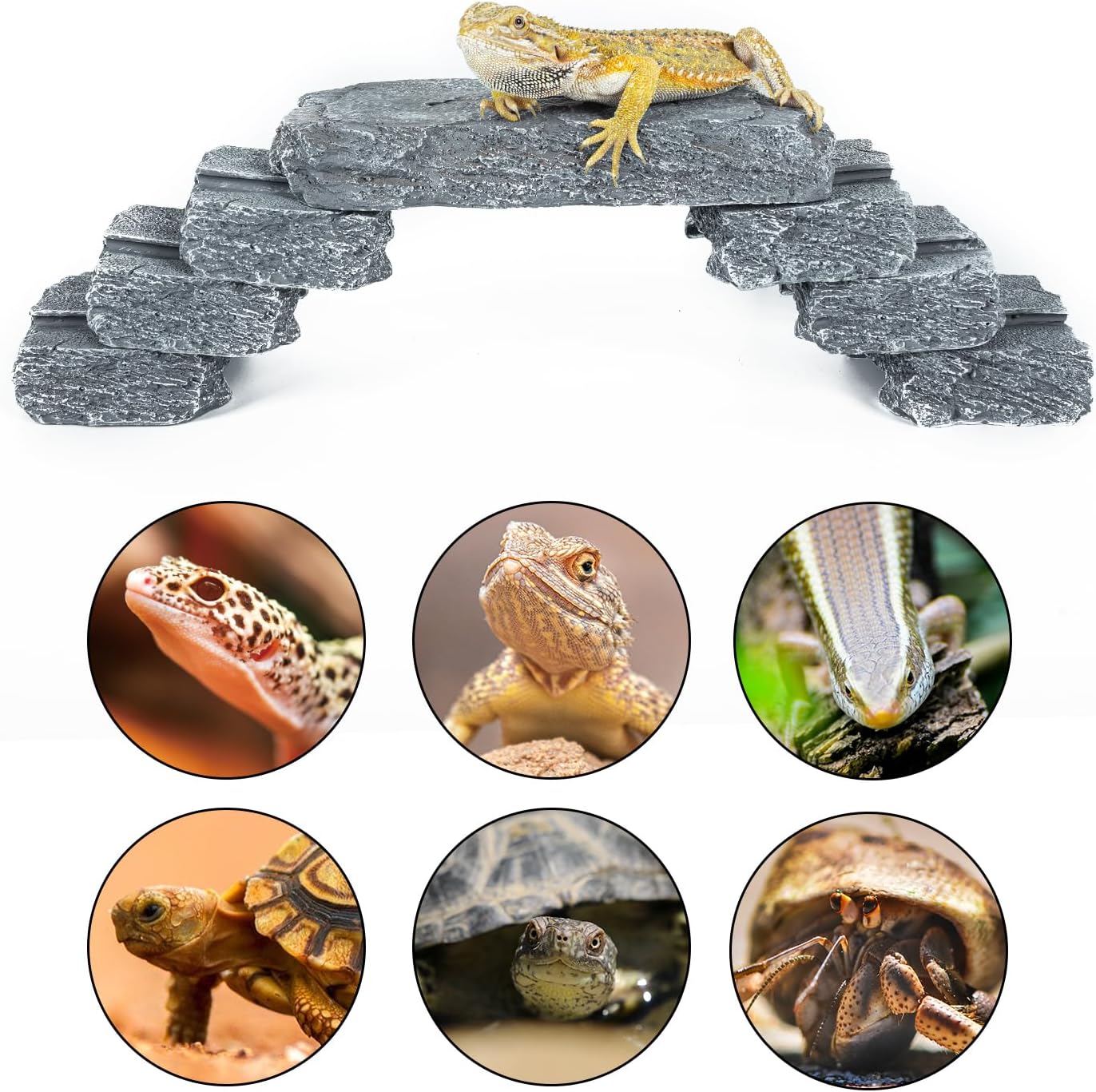 ReptZoo Multi-Function Slate Stones (7-Piece)