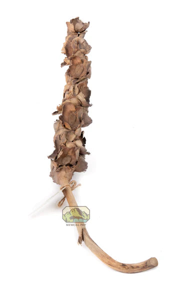 NewCal Palm Blossom Branch