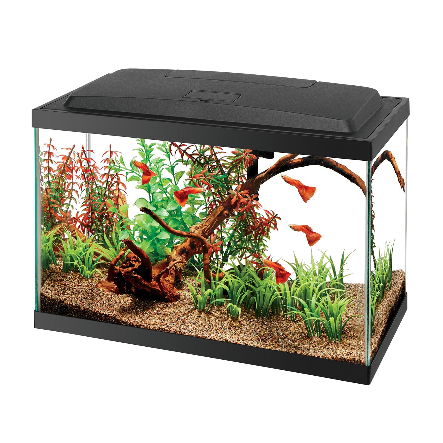 Aqueon LED Aquarium Kits