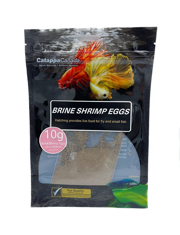 Catappa Canada Brine Shrimp Eggs
