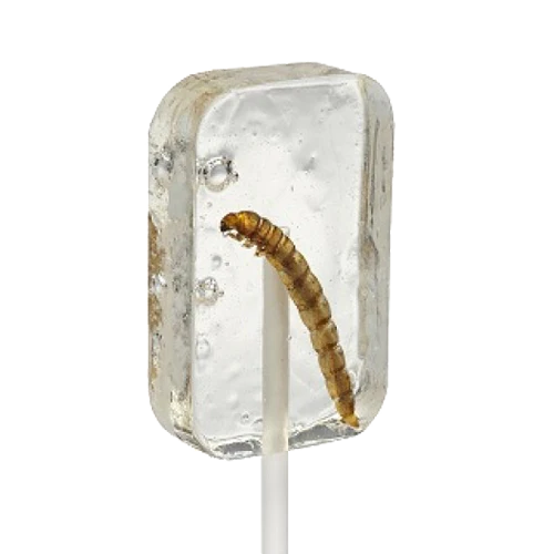 Tequila Worm Lollipop (For Humans)